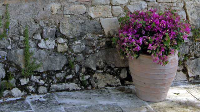 st_tropez_5